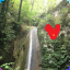 Image loader